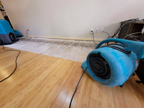 Professional Water Extraction technician working in Anna, IL